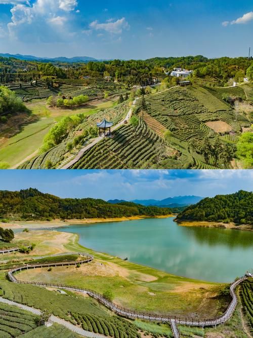 安徽省六安市金寨县静默标准最新公布/六安金寨官网