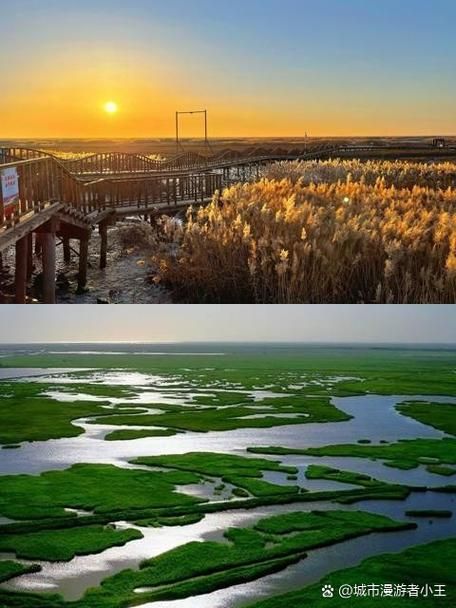 辽宁盘锦大洼区今冬新增破19(盘锦大洼疫情最新消息2021)