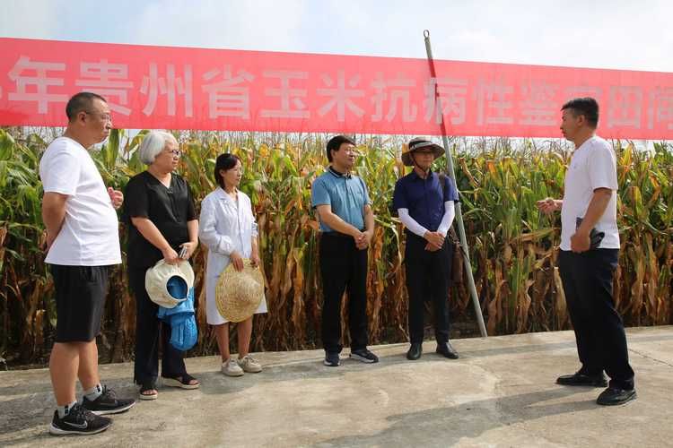 专家:贵州安顺平坝区每年或现多个感染高峰_贵州省安顺平坝区