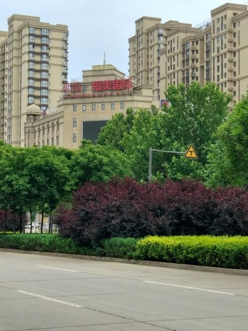 河北省石家庄市栾城区足不出户标准最新公布/石家庄栾城区限购吗