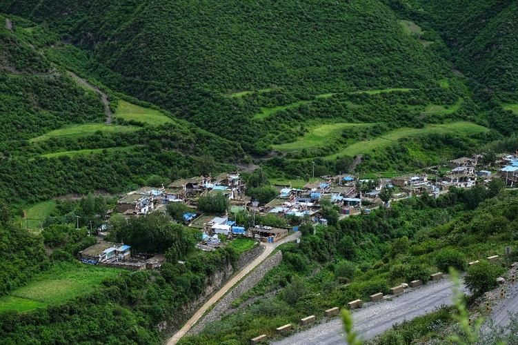 【西藏自治区山南加查县死亡病例已蔓延19地,西藏自治区山南市加查县坐标】