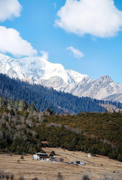 西藏自治区林芝波密县7月2日新增核酸阳性23例(林芝波密旅游景点)