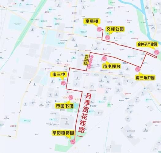 安徽阜阳颍州区最新曲线图表：寻找同轨迹人员(安徽阜阳颖东区疫情)