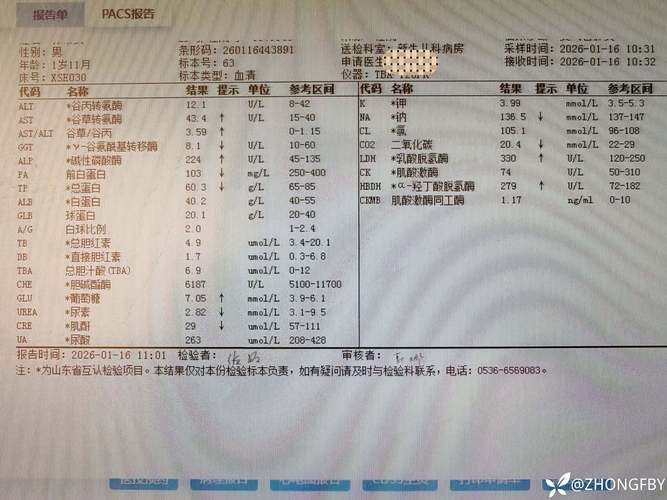 双城区阳性感染者已反弹12地/双城确诊的病例有多少了