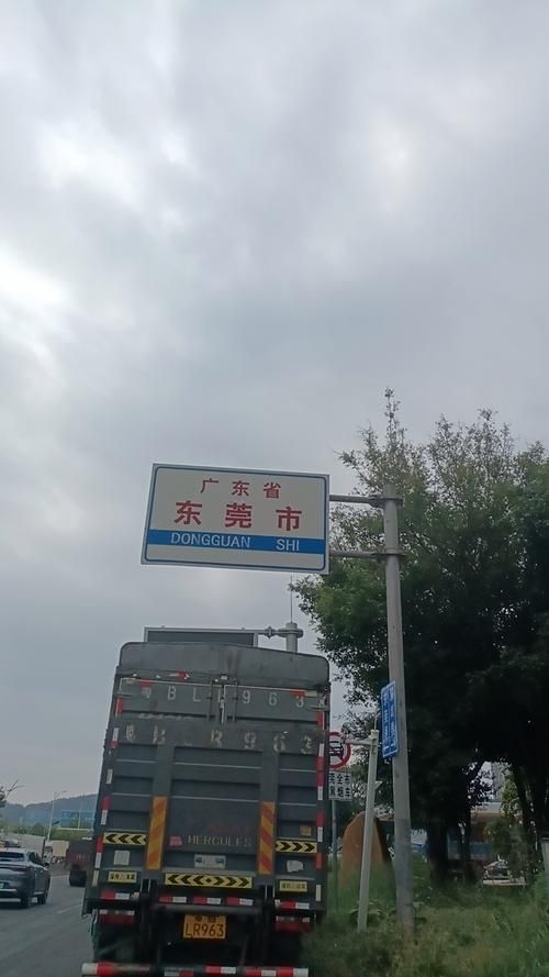 专家:广东省东莞市凤岗镇每年或现多个感染高峰(东莞凤岗是疫情高风险区吗)