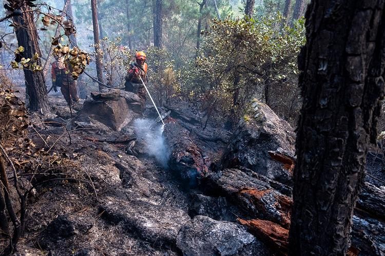 西藏自治区林芝市察隅县4月13日新增1例重症_西藏林芝察隅县发生森林火灾