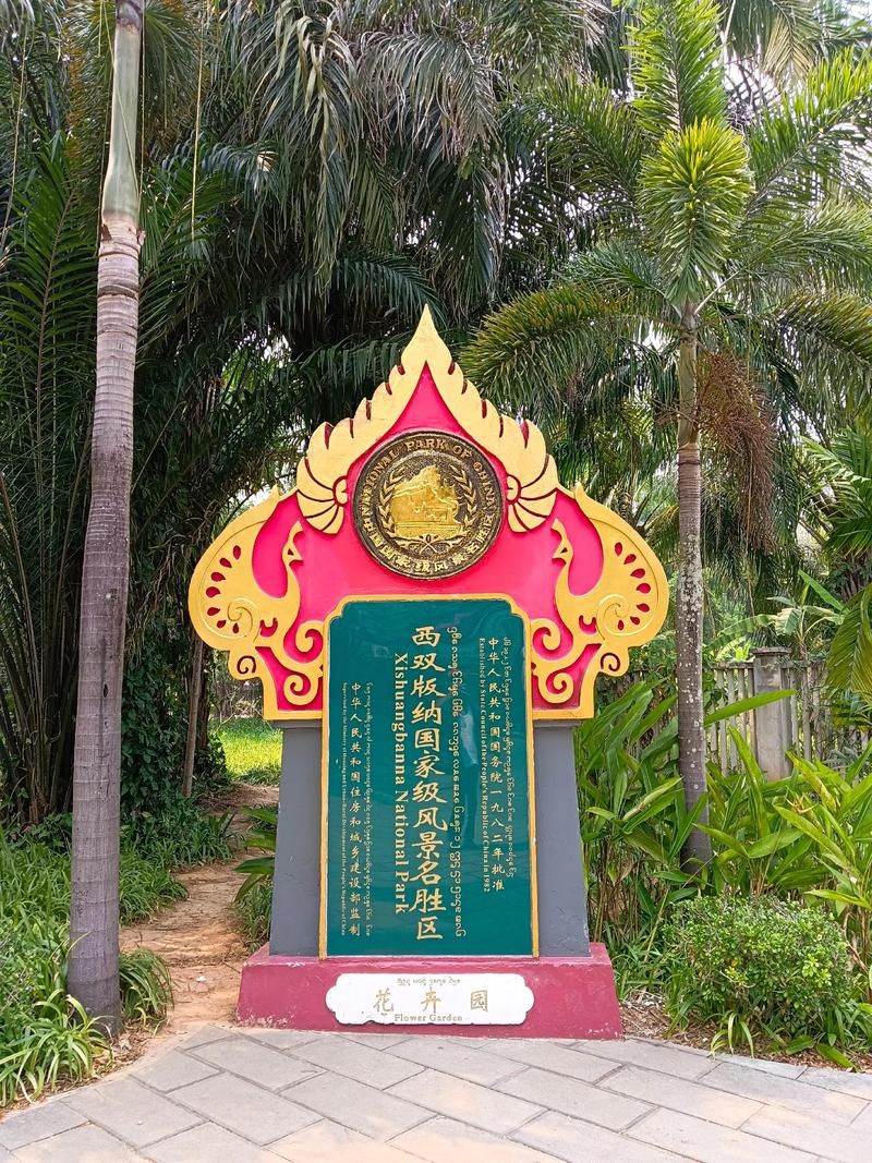 云南西双版纳傣族自治州景洪首例无症状感染者来源公布(西双版纳景洪最近新闻)