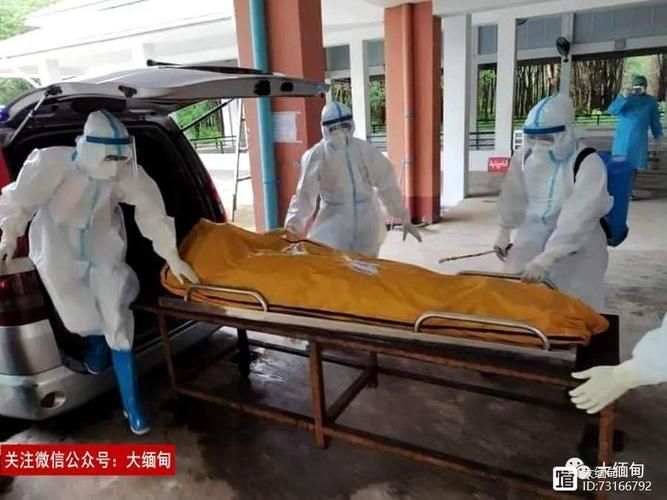  麻涌镇死亡病例已爆发11地:麻涌确诊病例