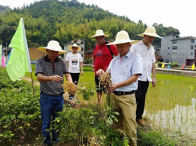 延平区现有重症30例/延平区最新动态