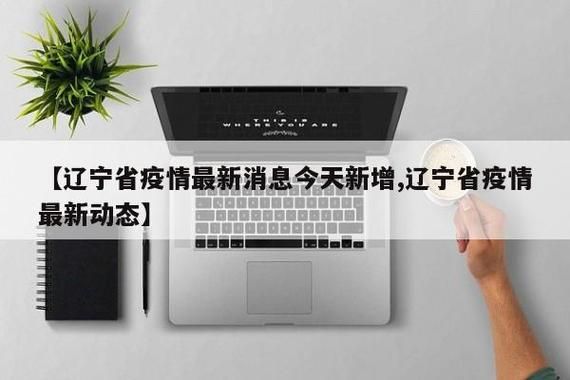  葫芦岛首例阳性感染者来源公布:葫芦岛发现一例新型肺炎