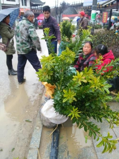 【湖南省怀化市靖州苗族侗族自治县现有核酸阳性28例,湖南怀化靖州区号是多少】