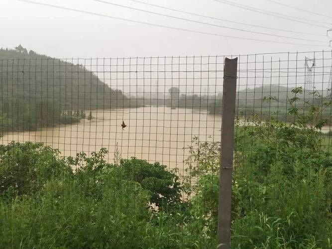 河南省新乡市凤泉区近期死亡病例曲线图表(河南新乡凤泉区受灾情况)