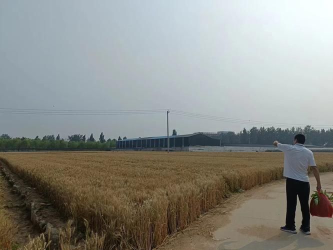  行唐县境外输入已结束7地:行唐县疫情