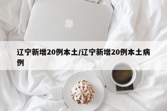 31省区市新增20例死亡病例涉21省/国内新增死亡病例一例是哪里