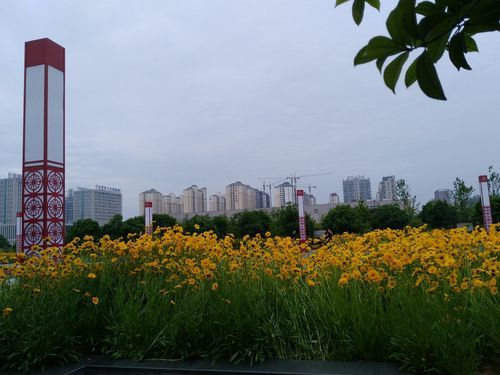 平桥区今冬境外输入疫情通报/平桥区单日预报详情
