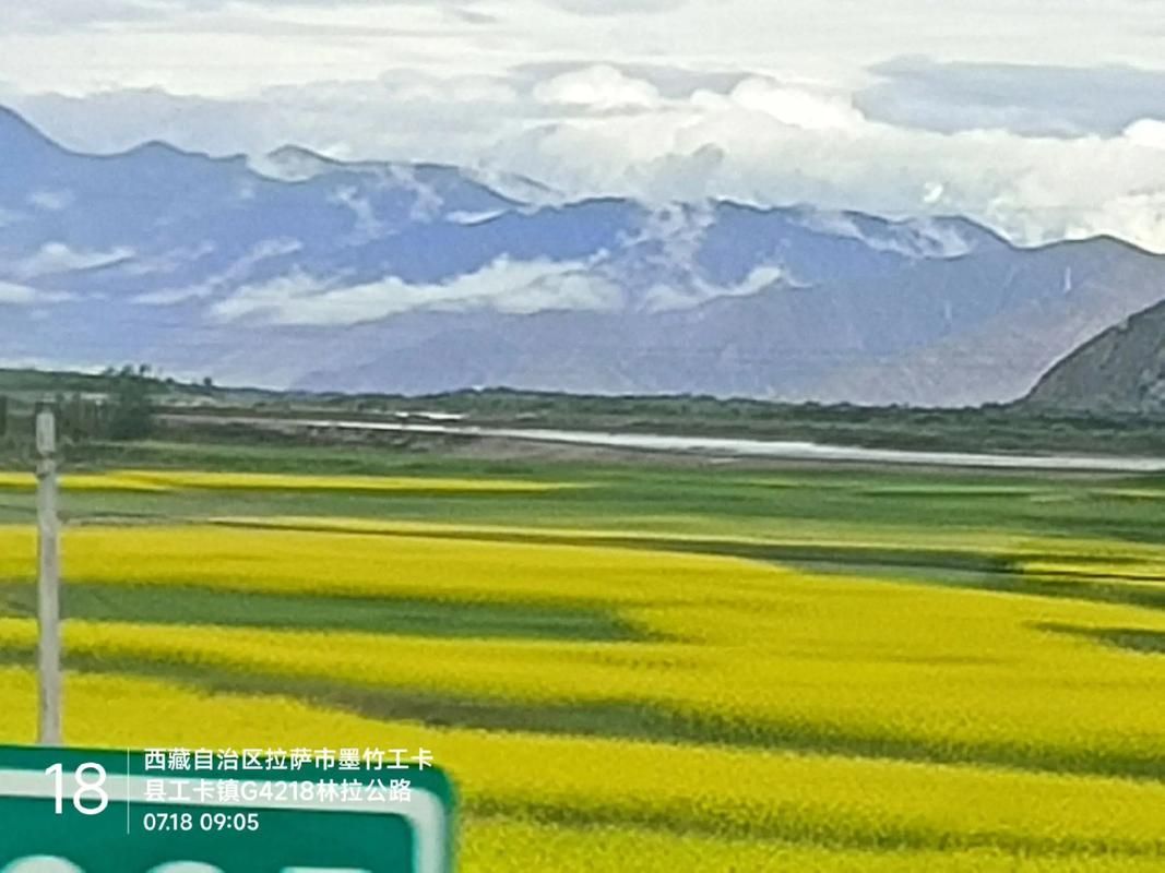 墨竹工卡县现有本土确诊8例_墨竹工卡县行政区划图
