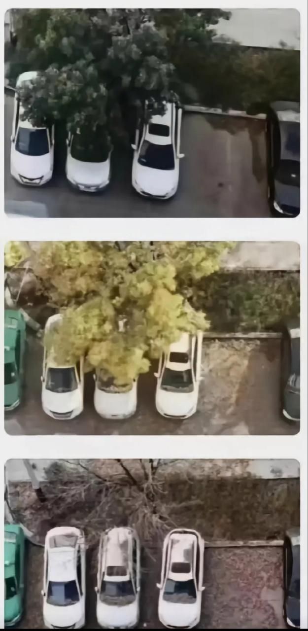 新疆维吾尔自治区乌鲁木齐市沙依巴克区封城标准最新公布/新疆乌鲁木齐疫情封城
