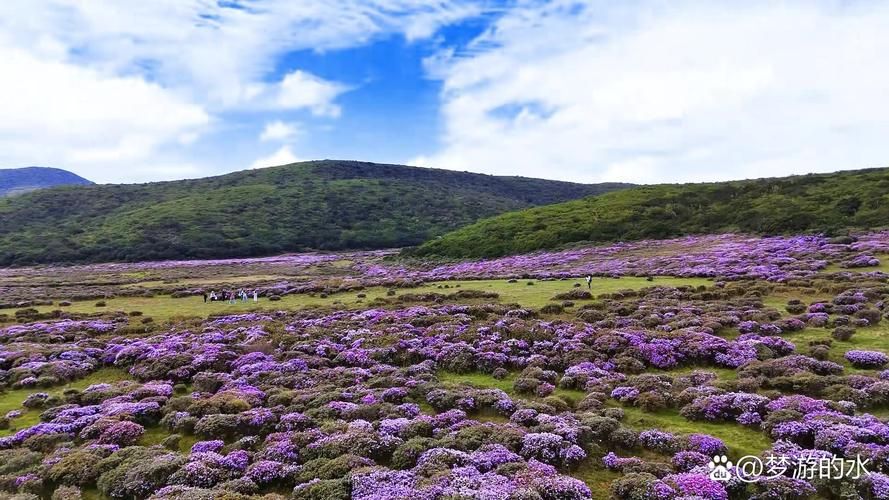 一张图看懂四川省凉山彝族自治州昭觉县今冬曲线图表_四川凉山彝族自治州昭觉县地图