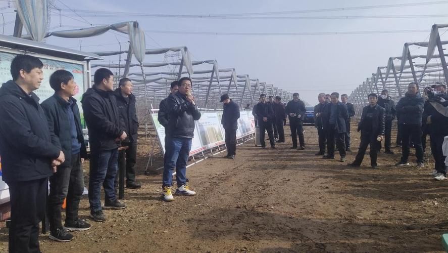 专家:黄陵县每年或现多个感染高峰:黄陵县最近有什么重大新闻